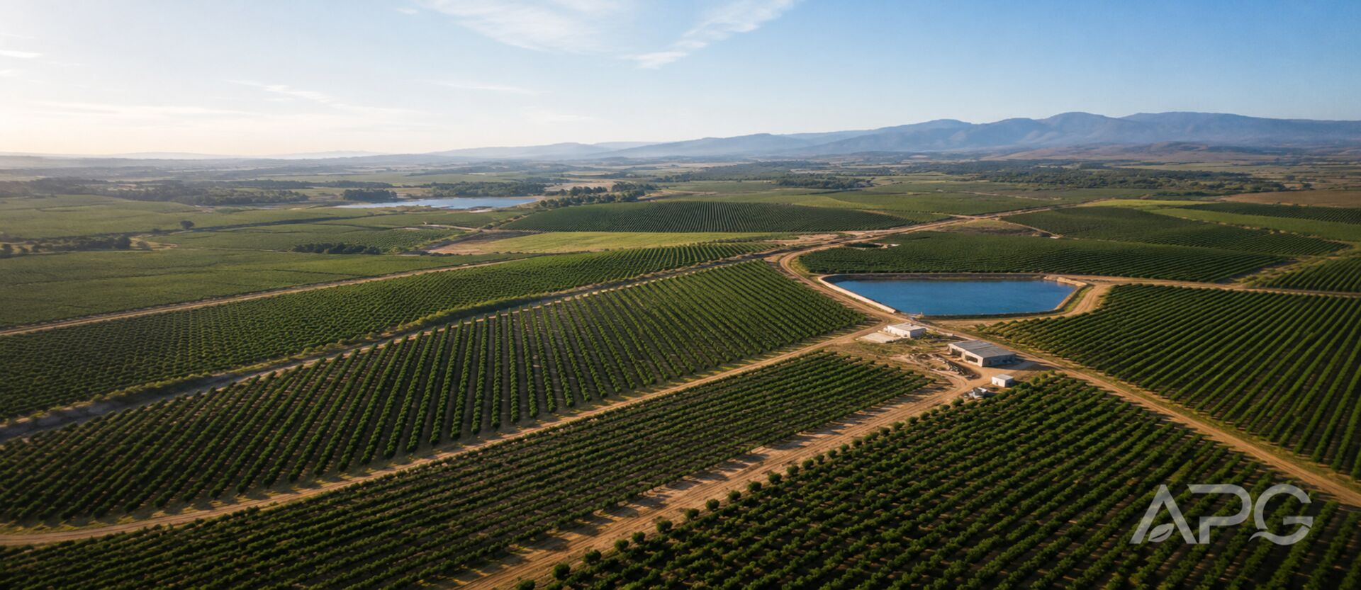 Plantación con balsa de riego vista desde el aire